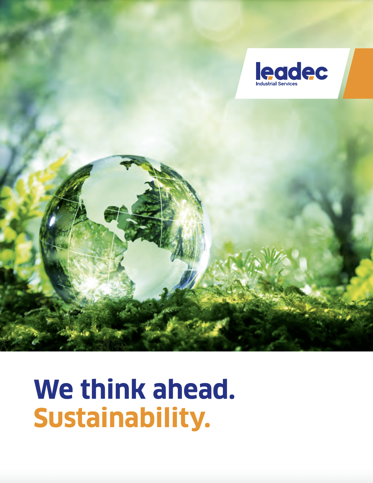 leadec sustainability prev